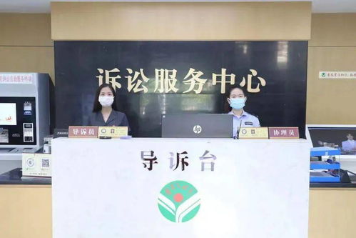 石獅法院打出“組合拳” 教育整頓辦實事，抗擊疫情與訴訟服務雙管齊下